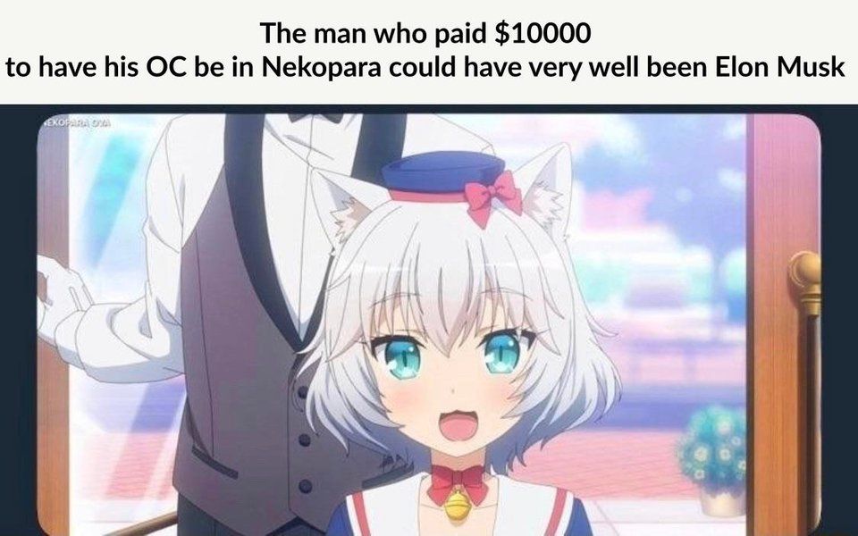 Yes, a ***ing weeb paid 10k to have his catgirl on the catgirl anime