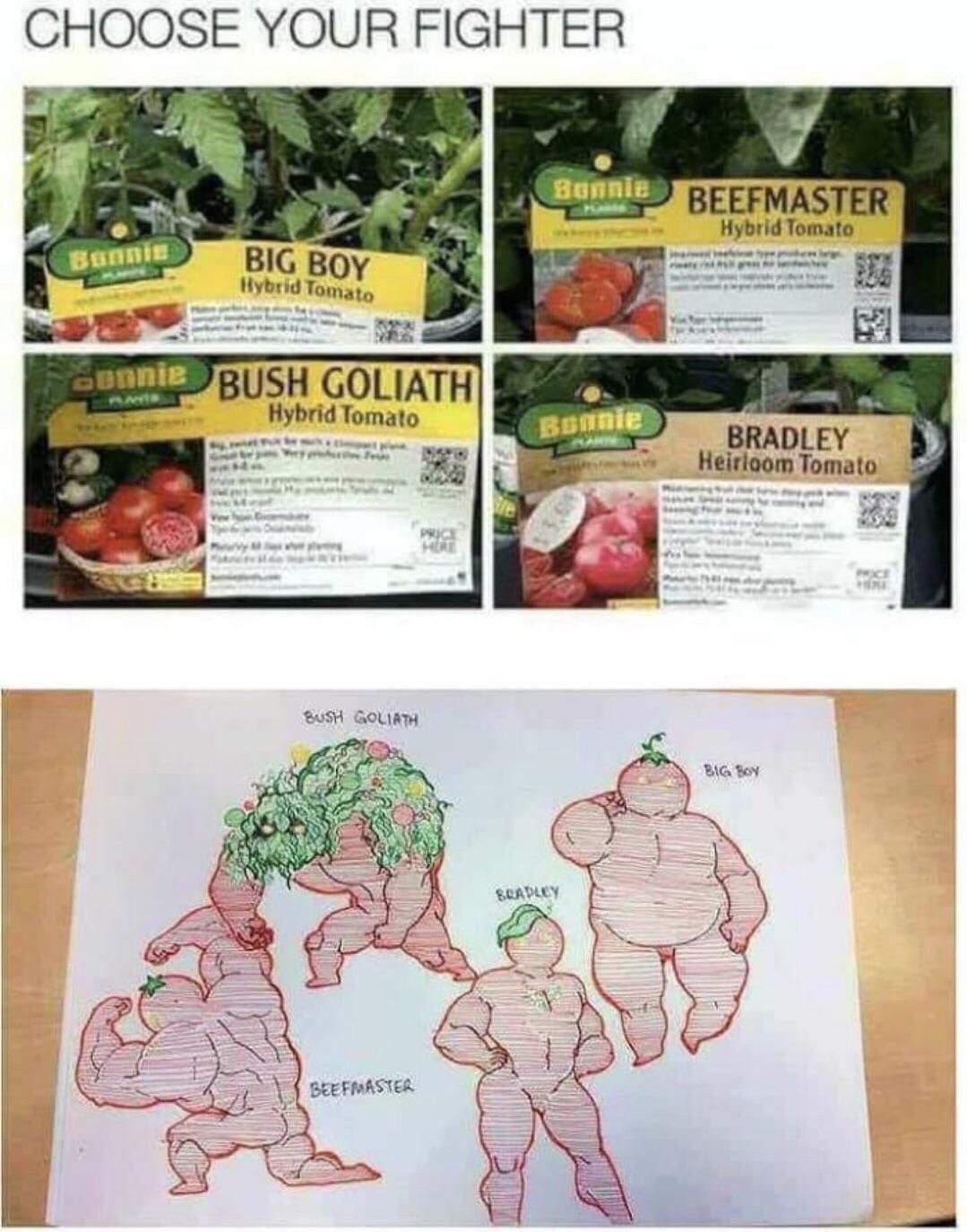 How I choose my Tomatoes
