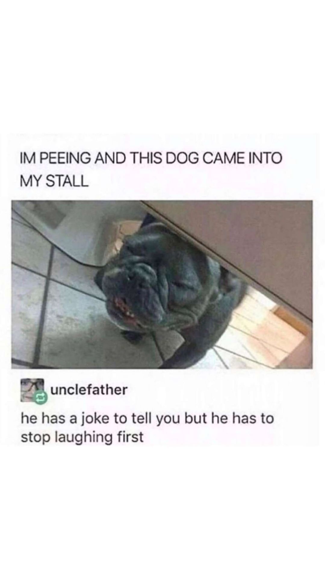 Let the dog laugh oute first