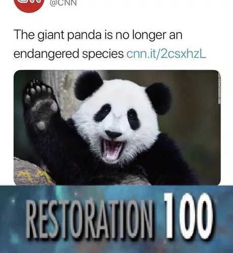 Long live the panda