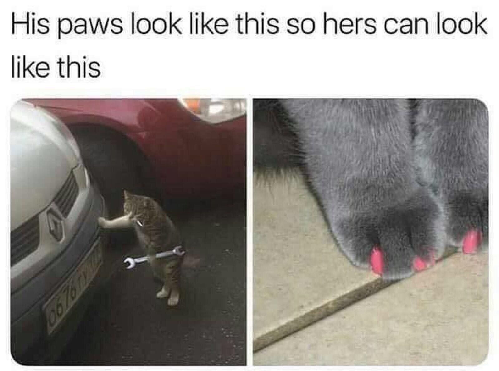 Hard working boi