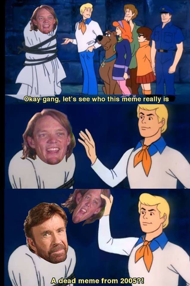 two shaggys