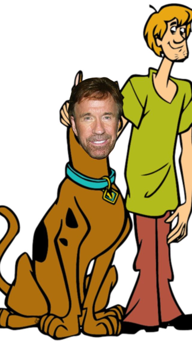 Shagg on a Walk with his pet
