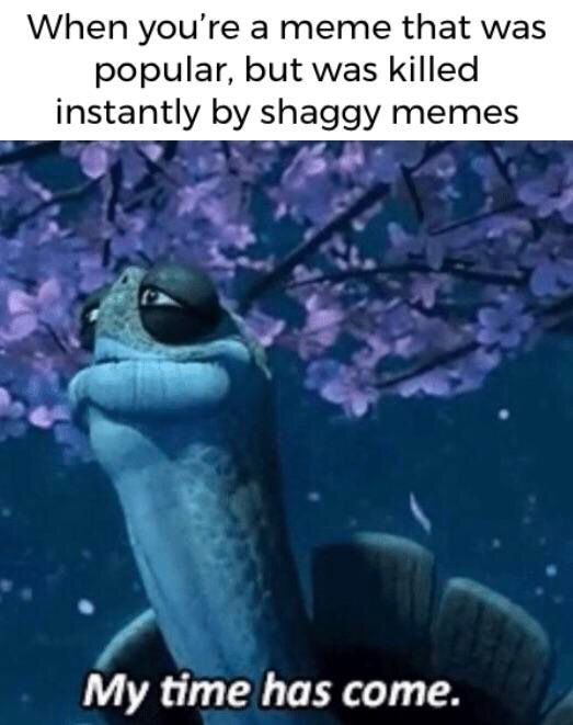 Goodbye old turtle guy
