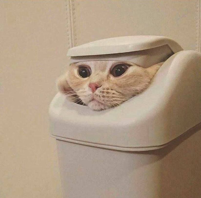 Tell Cersei. I want her to know it was me..