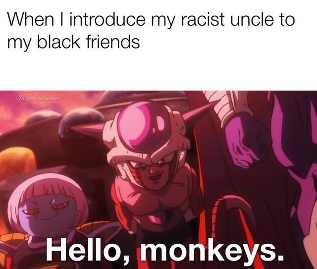 Hello There, monkeys