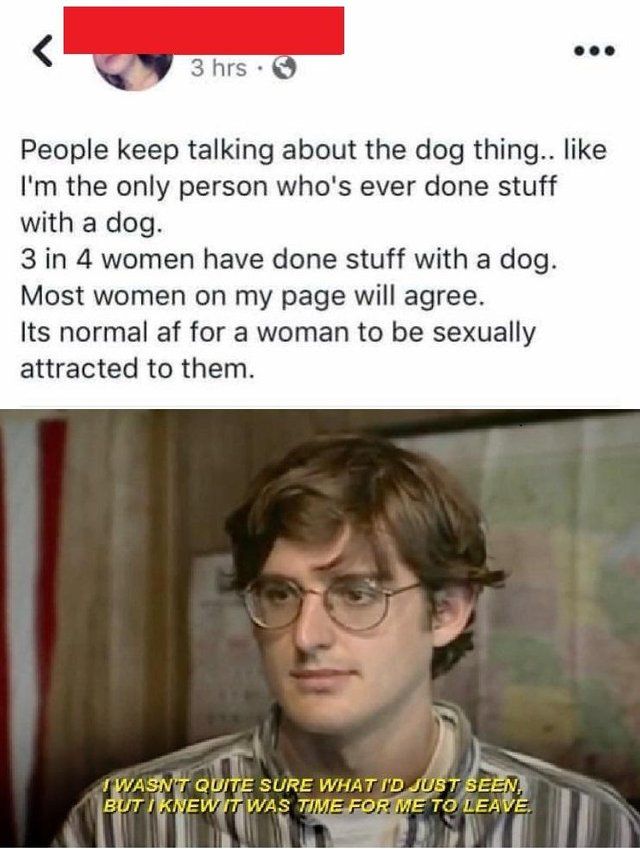 Damn Furries