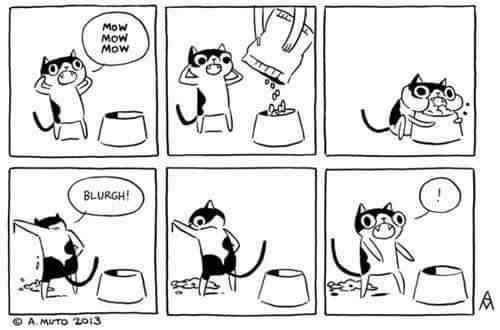 Life of a cat owner.