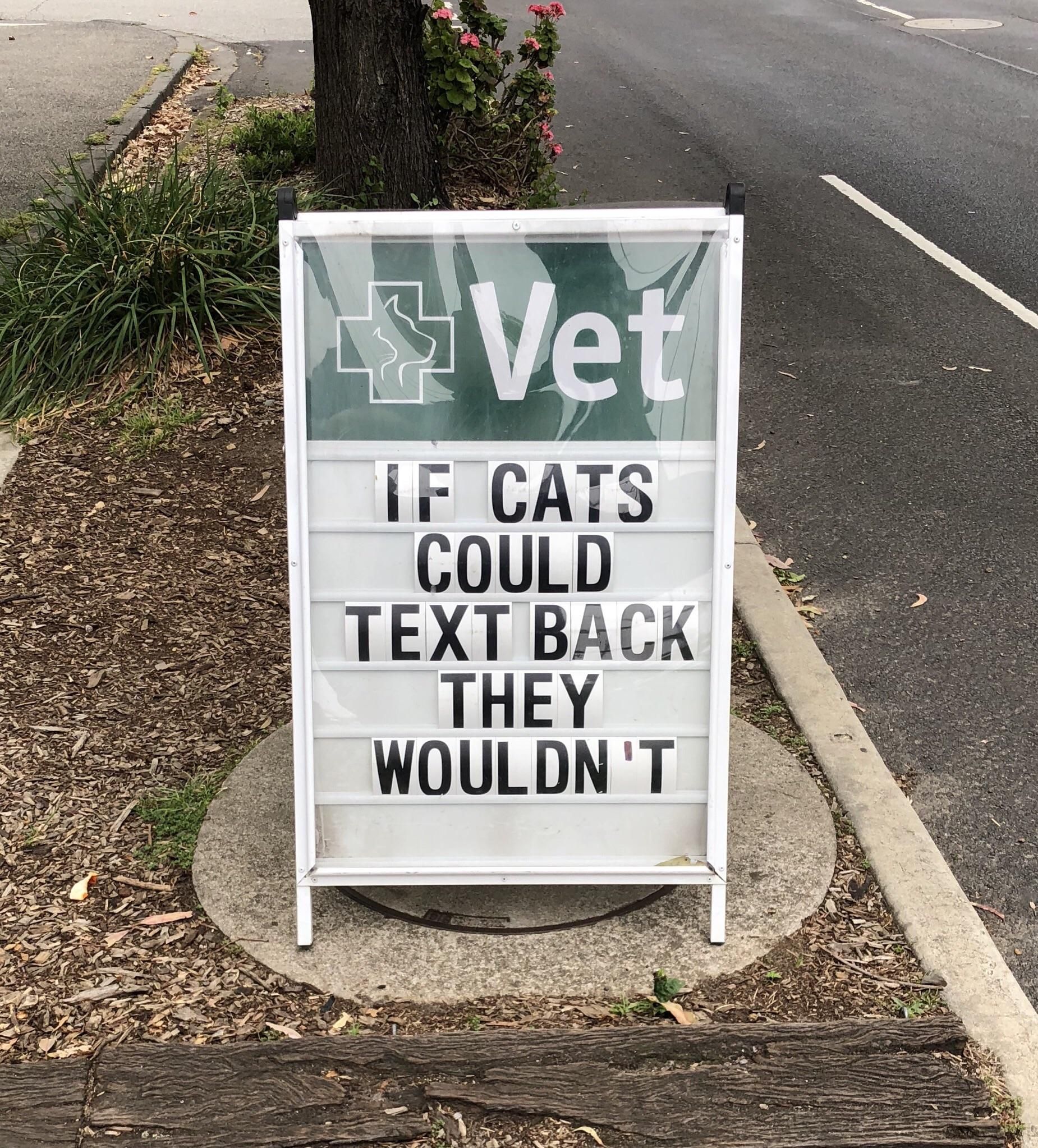 If cats could text