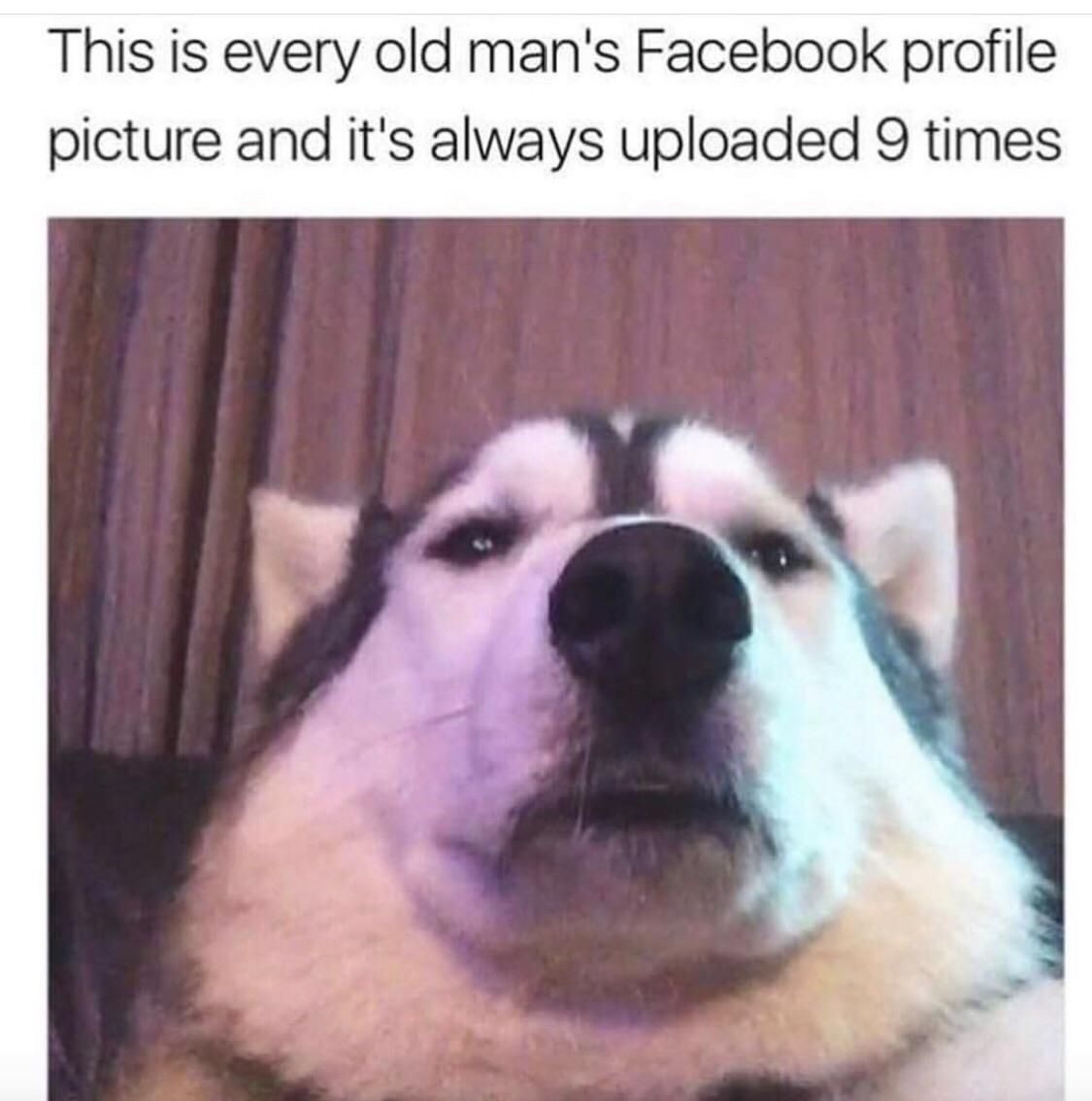 Every Old Man’s Facebook