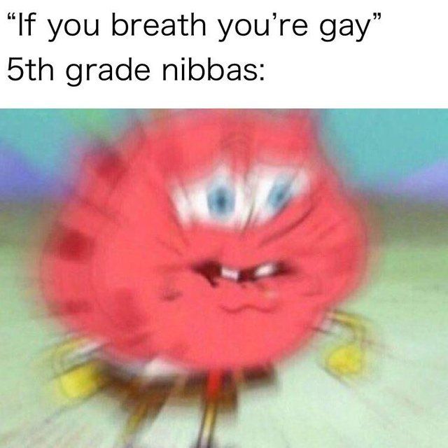ha you all gay