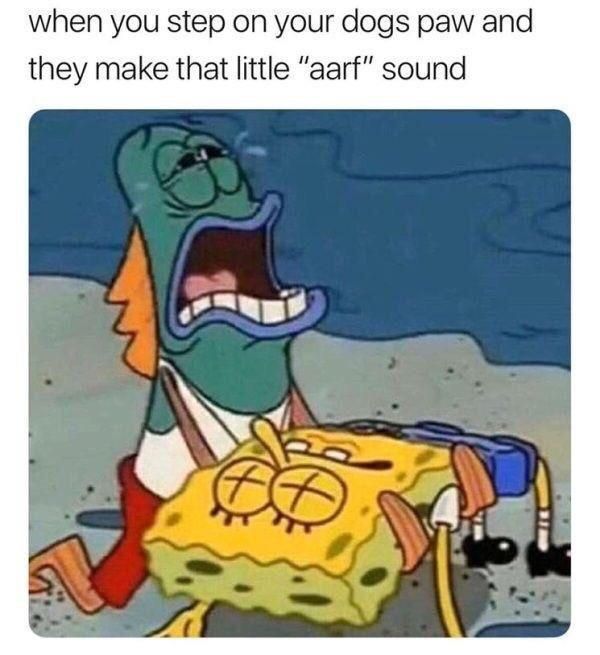 I am sorry little one