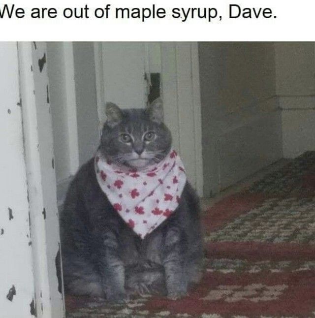 Dave... I require nurishment Dave
