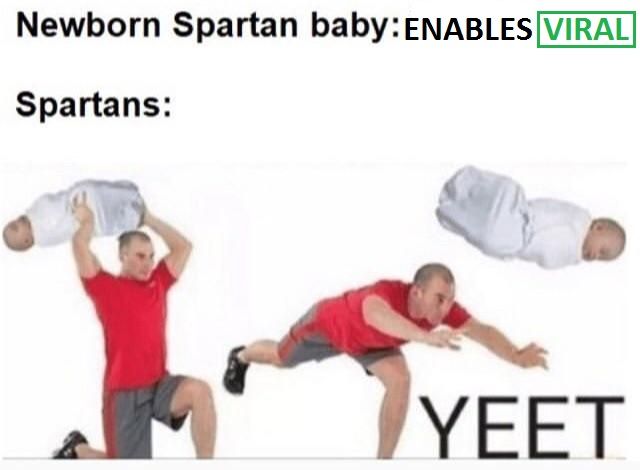 YOTED