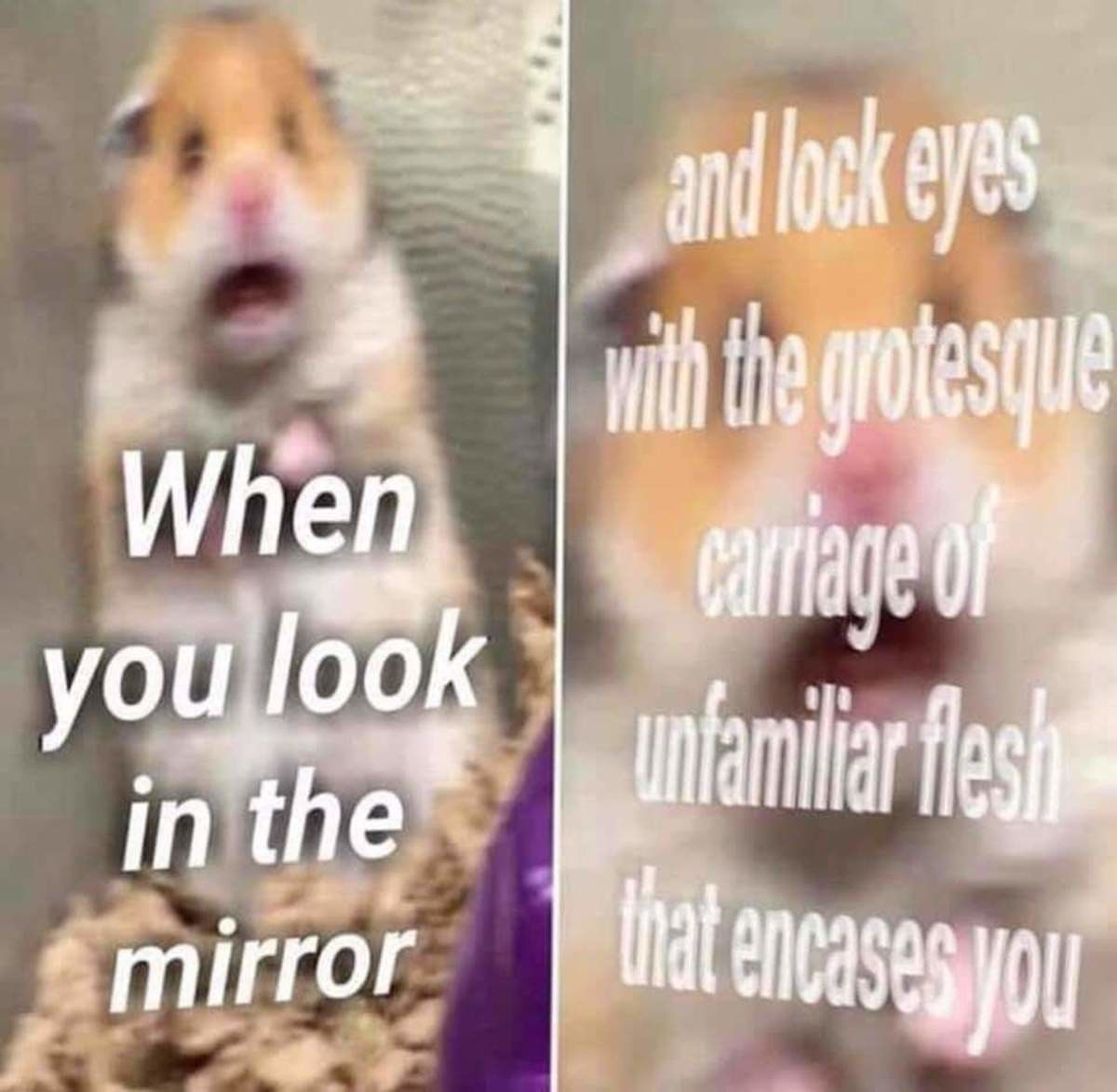 Everyday