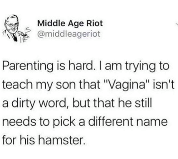 Normie meem