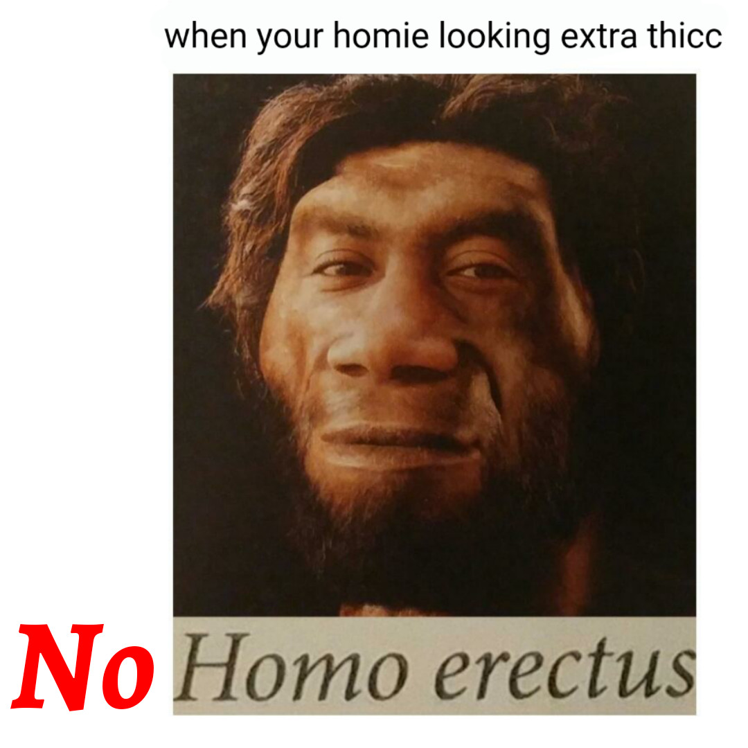 Homie
