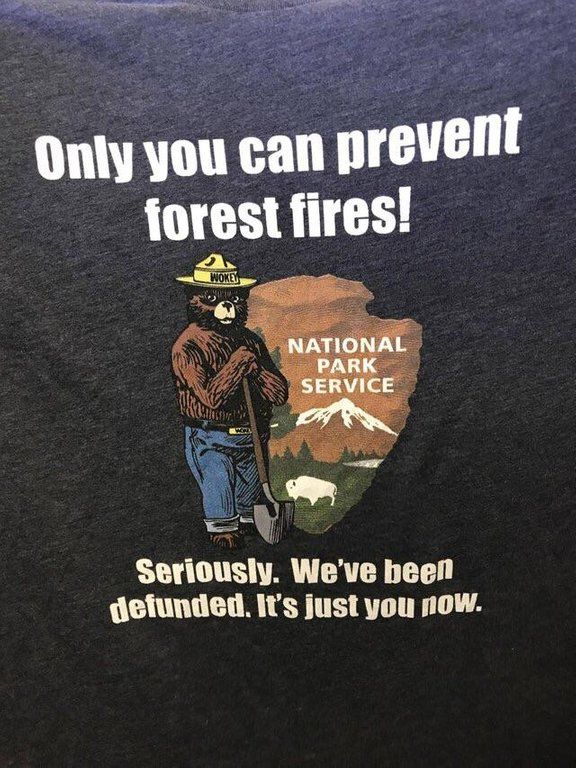Only you can prevent forest fires!!