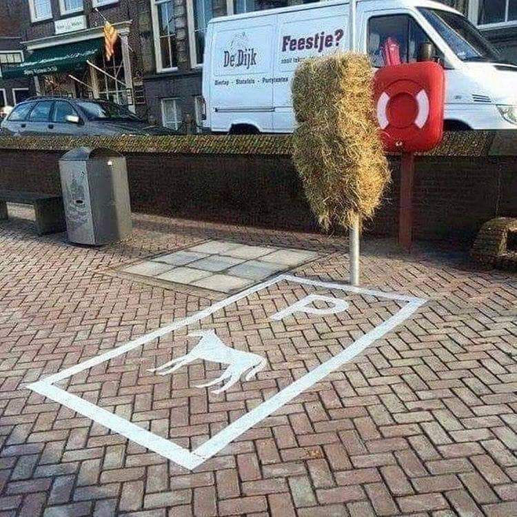 Specialized parking spot