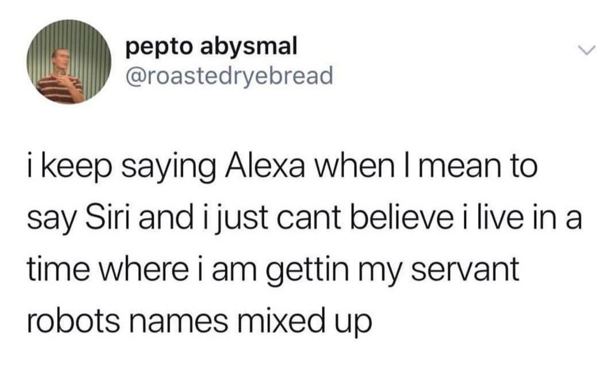 all I want is a Siri x Alexa ecchi anime