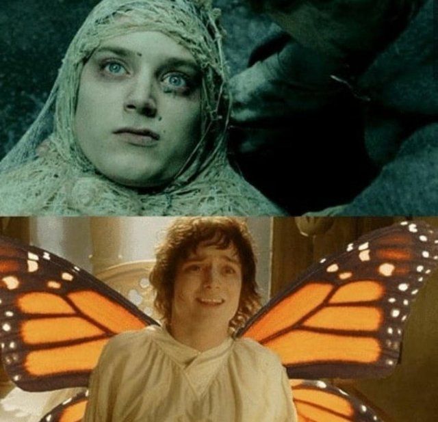 Wait... Frodo is evolving!