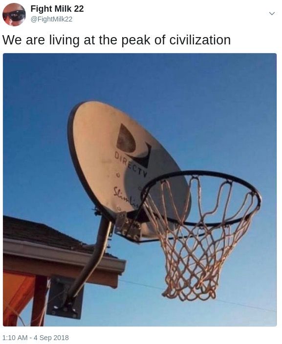 Peak stupidity