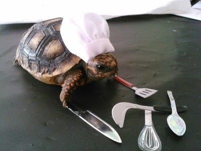 My slow cooker