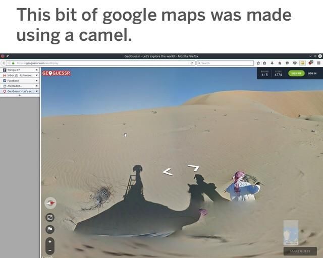 Good camel