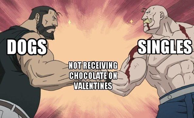 This is so sad, can we give choco to dogs?!