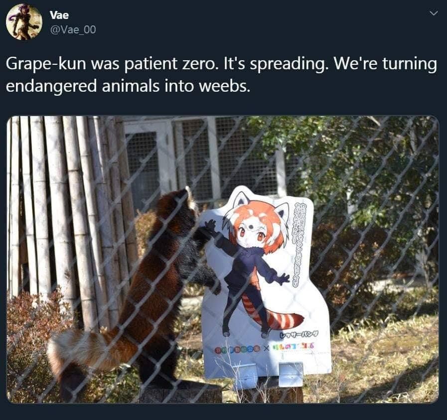 Filthy animal weebs