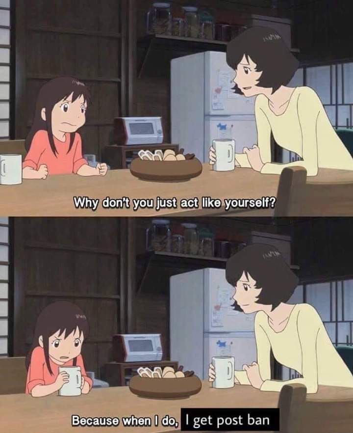 people on an anonymous meme site