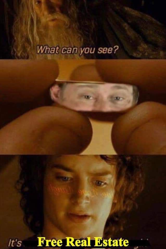 What do you see?