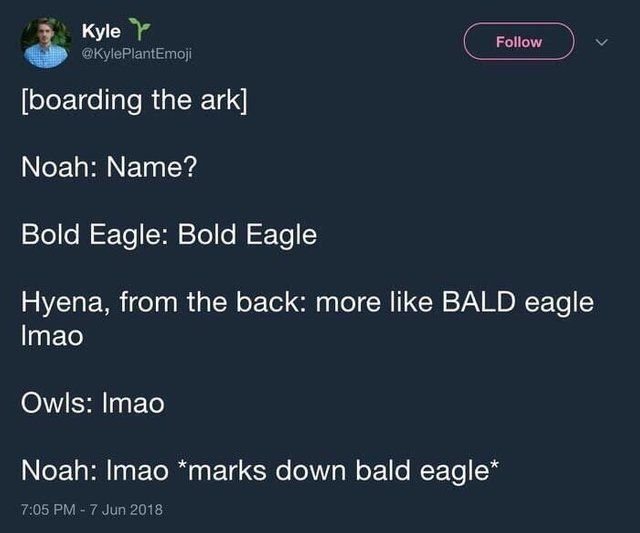 Rekt
