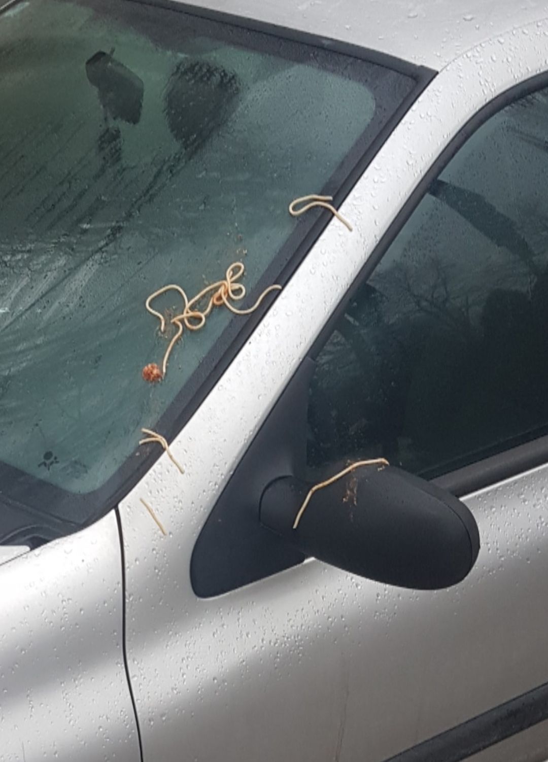 car keyed italian style