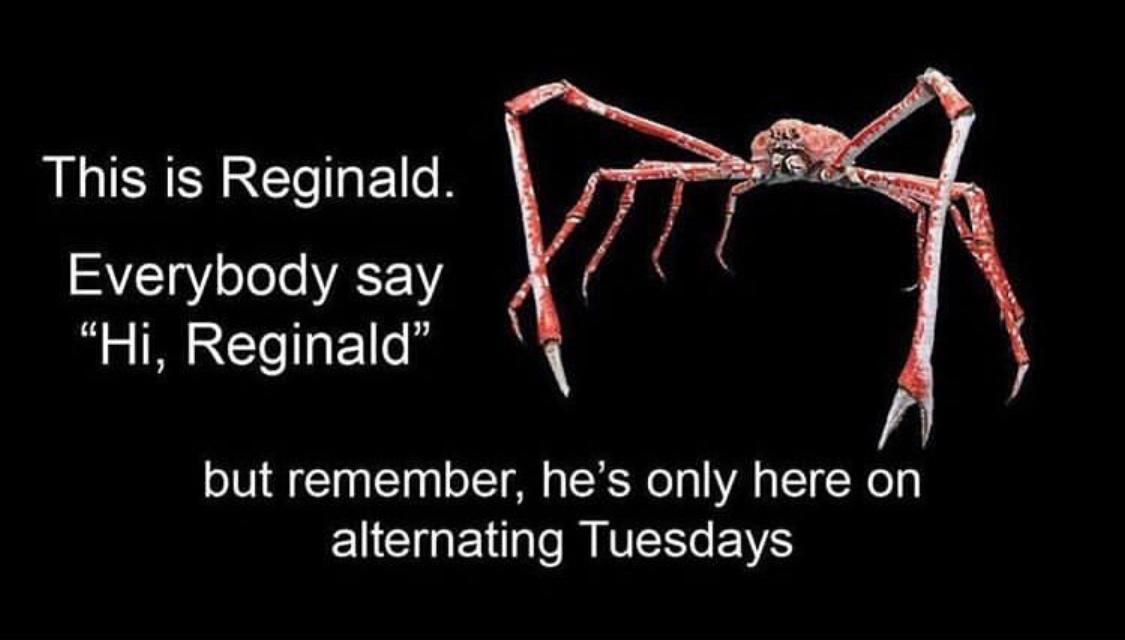 Hi, Reginald