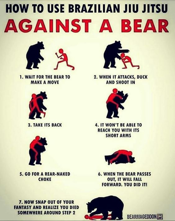 How to use BJJ against a bear