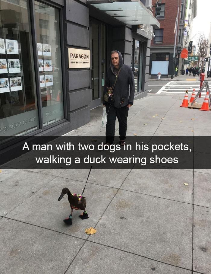 Rather have the duck in my pocket