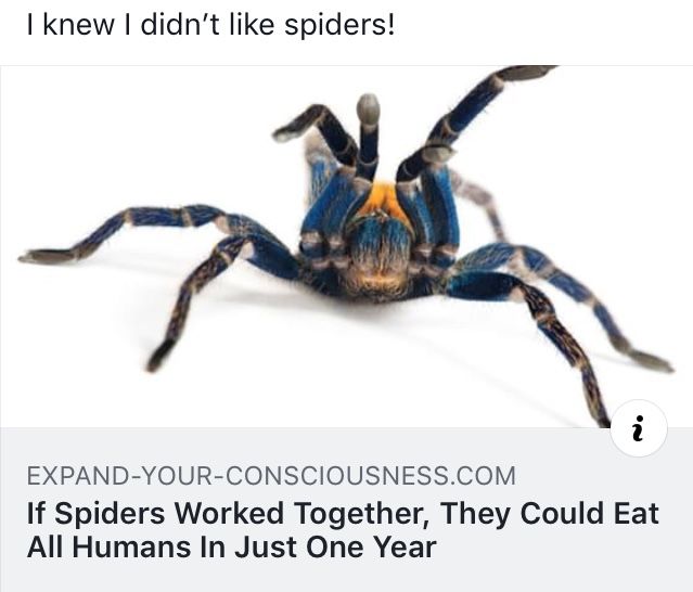 Get on with it the ya lazy bugs