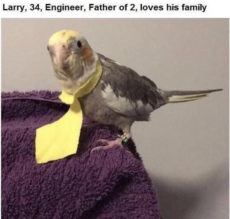 Please help Larry he needs to provide for his family!!!!!