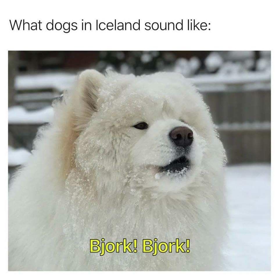 Icelandic dÖggÖ