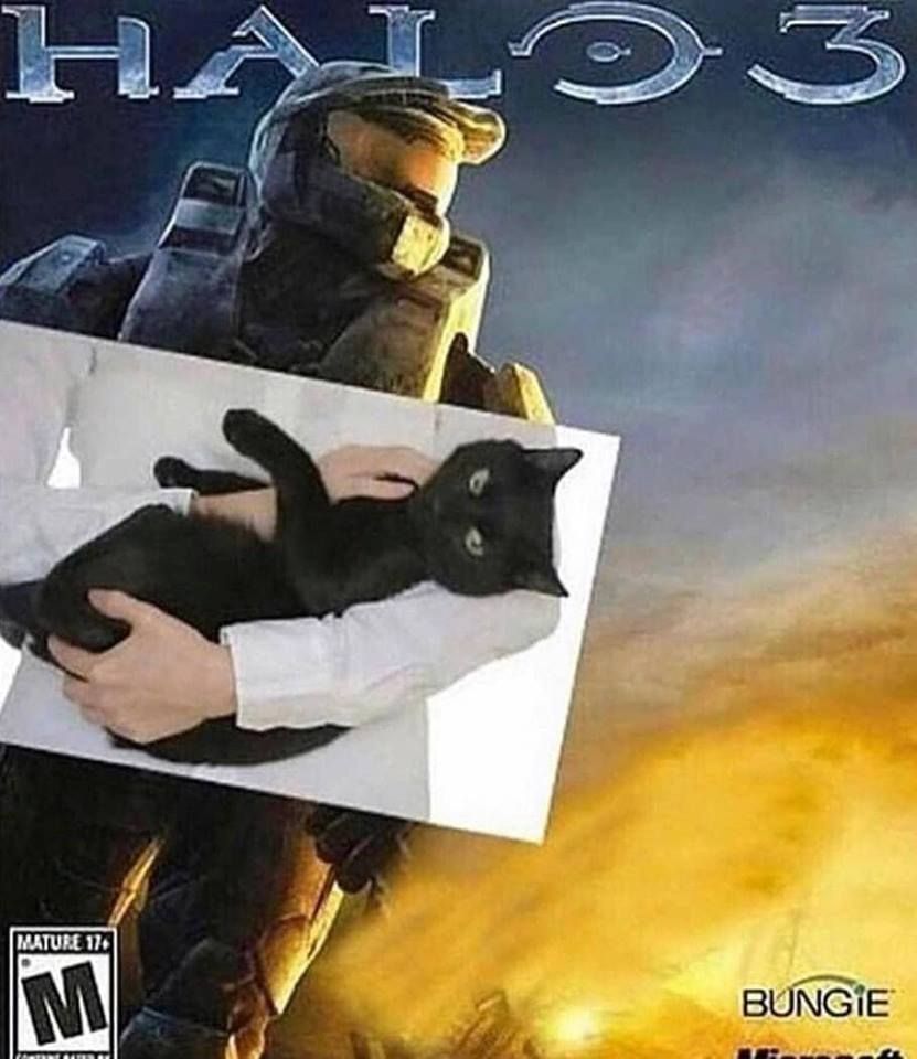 Halo