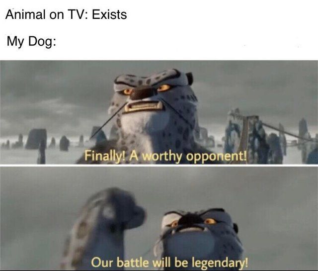 *Jumps on the screen*
