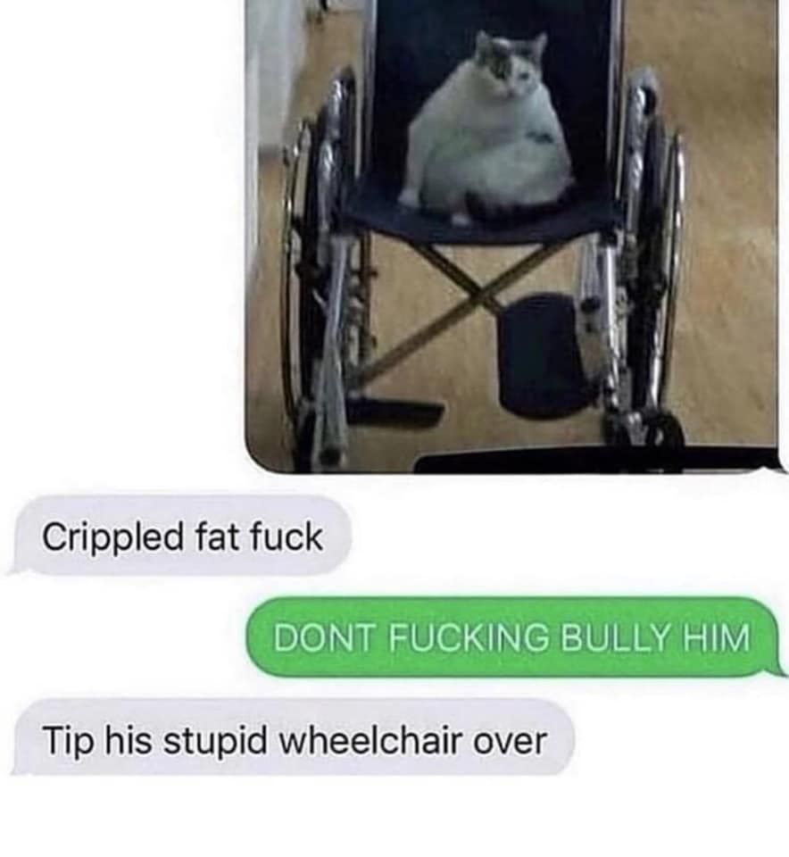 Handicat
