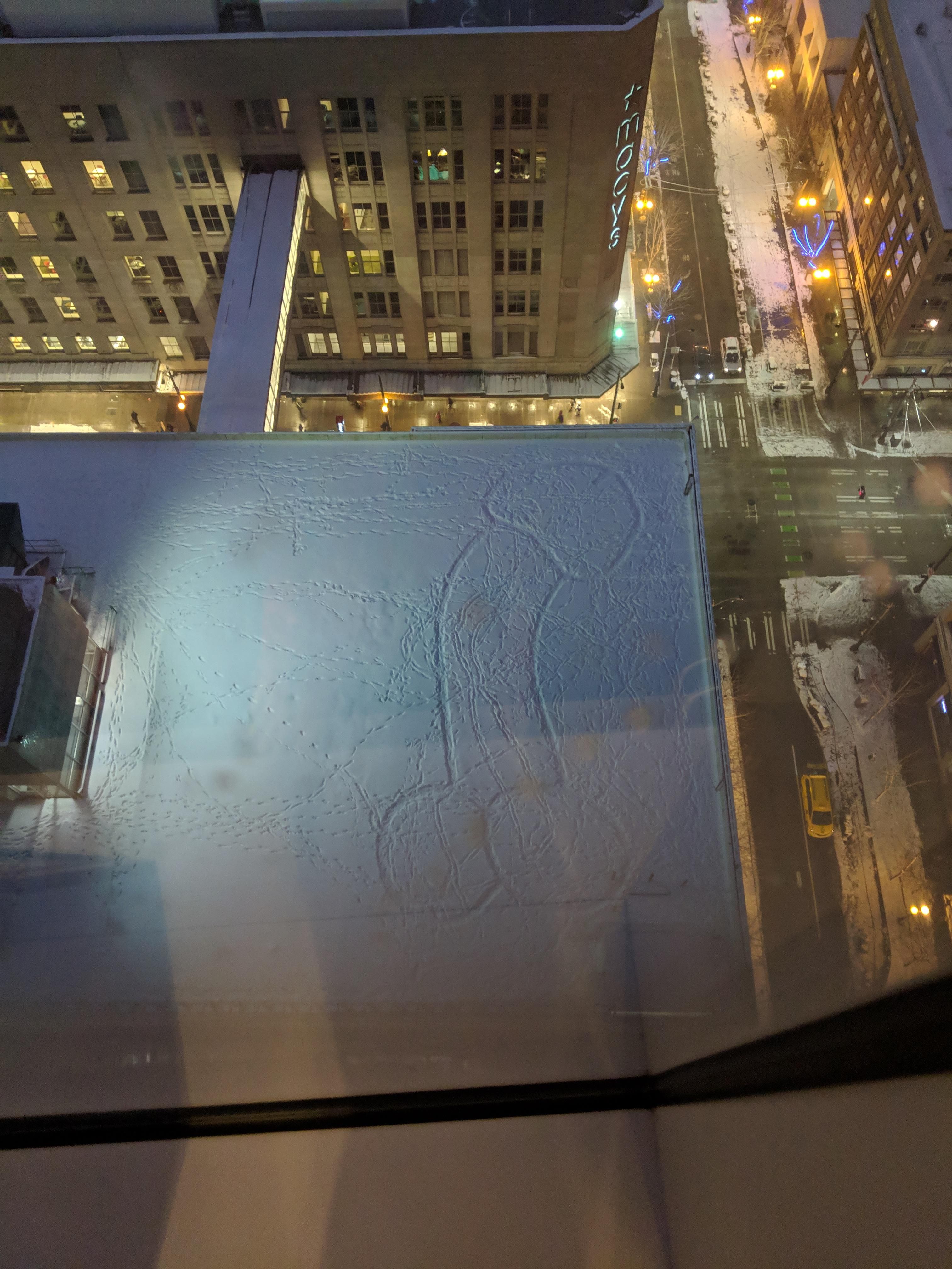 Someone drew this on top of the parking garage next to macys in the Seattle snow storm