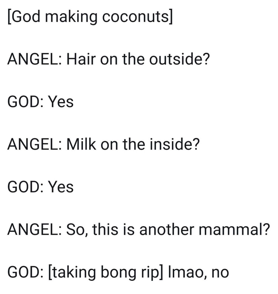 God creates coconuts