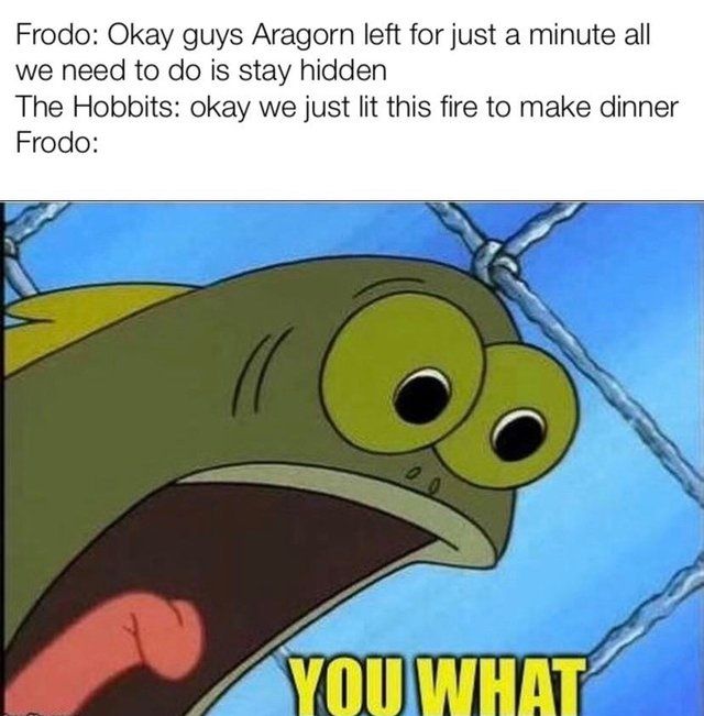 You WHAT?!
