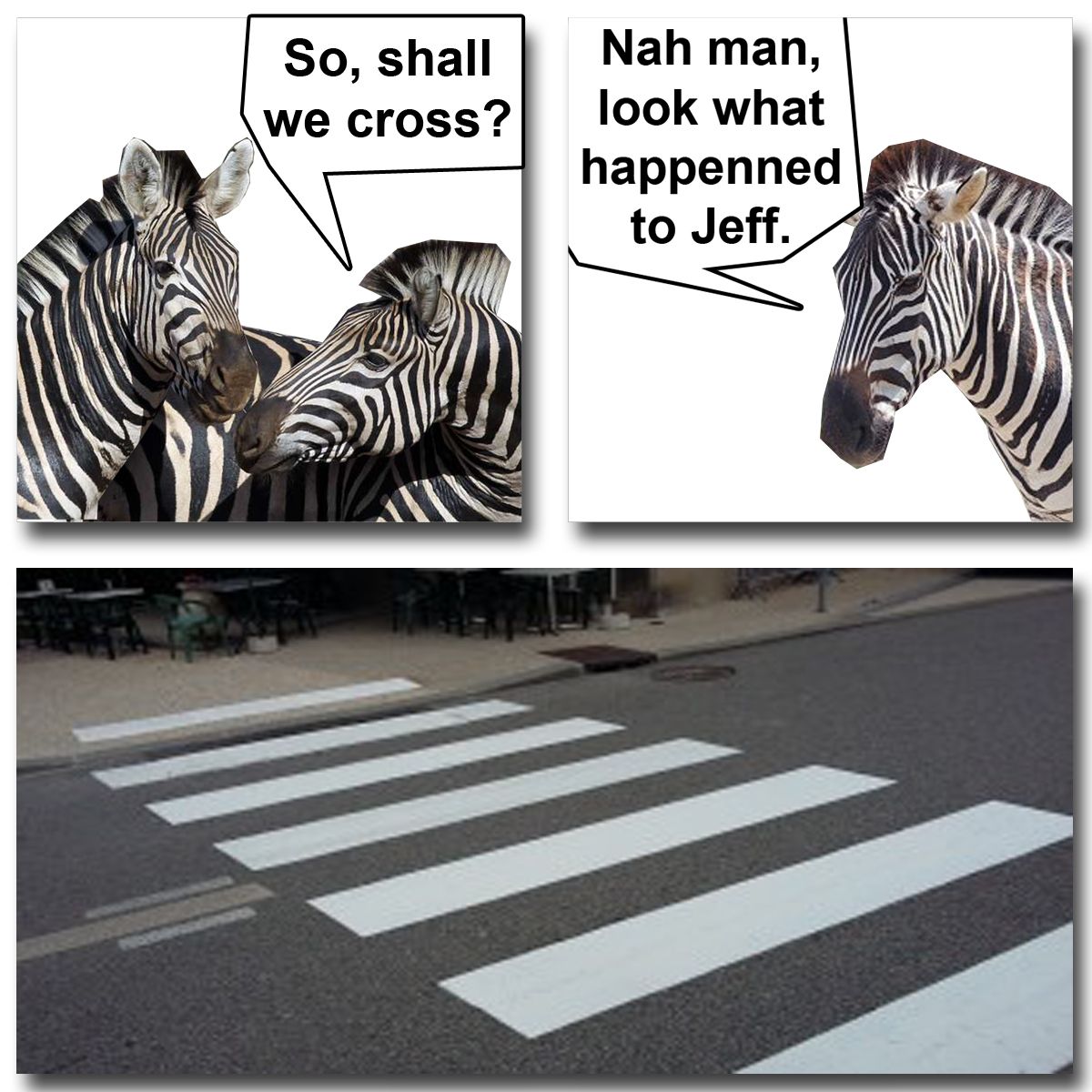 Shall we cross ?