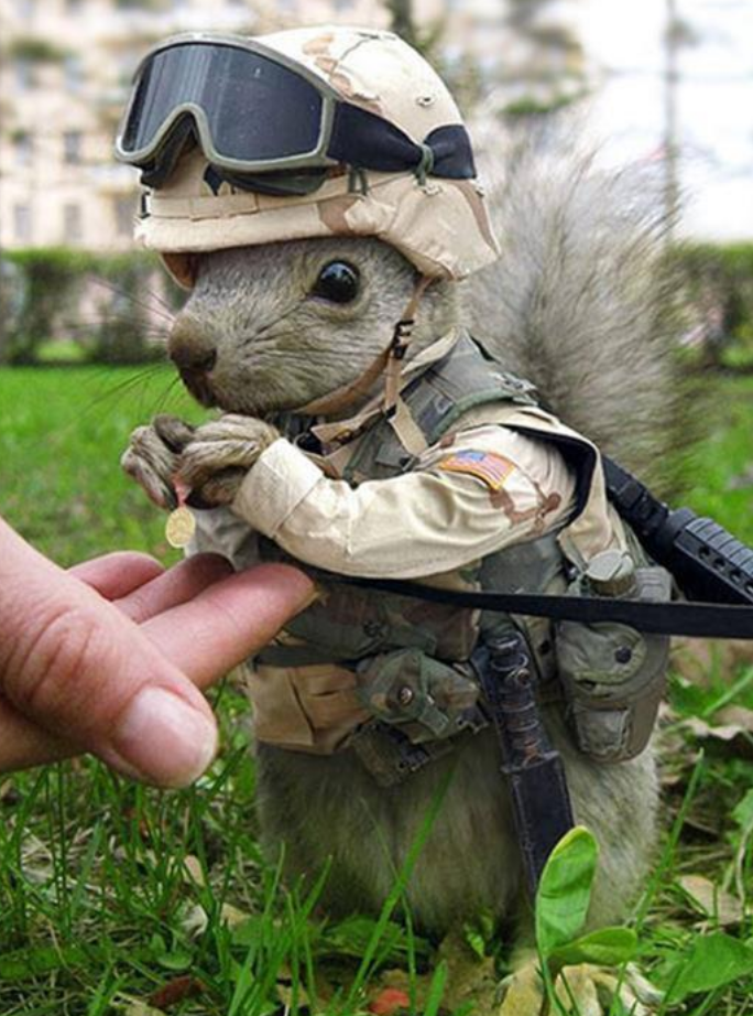 I googled marine animals and was not disappointed