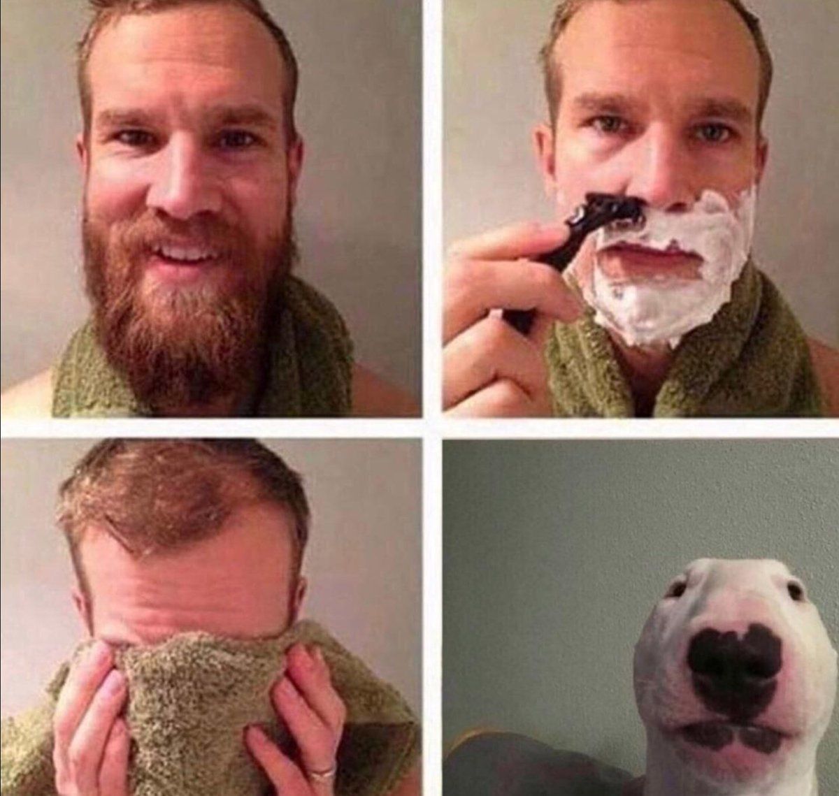 Бородатый побрился