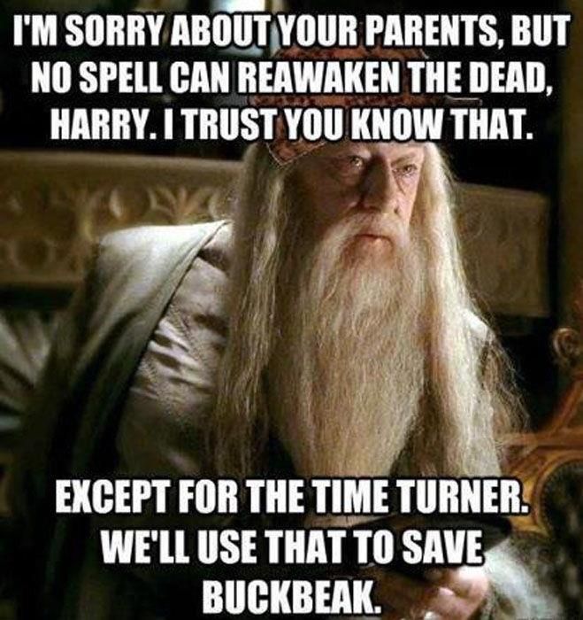 Dumbledore Logic!